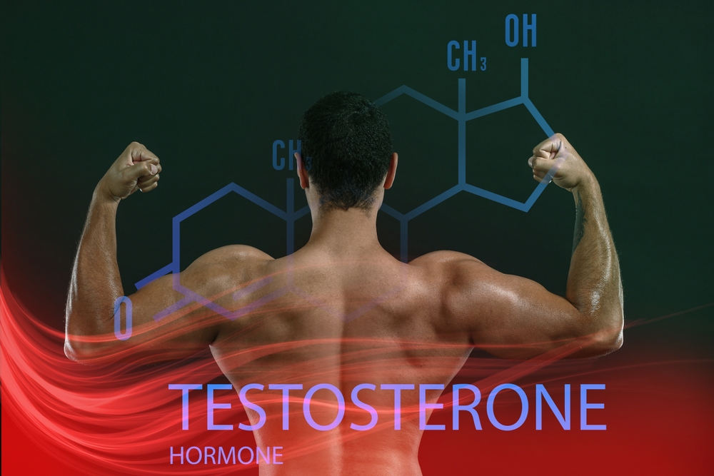 testosterone hormone